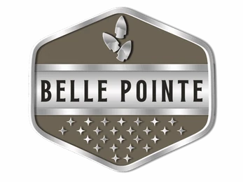 Belle Pointe Park