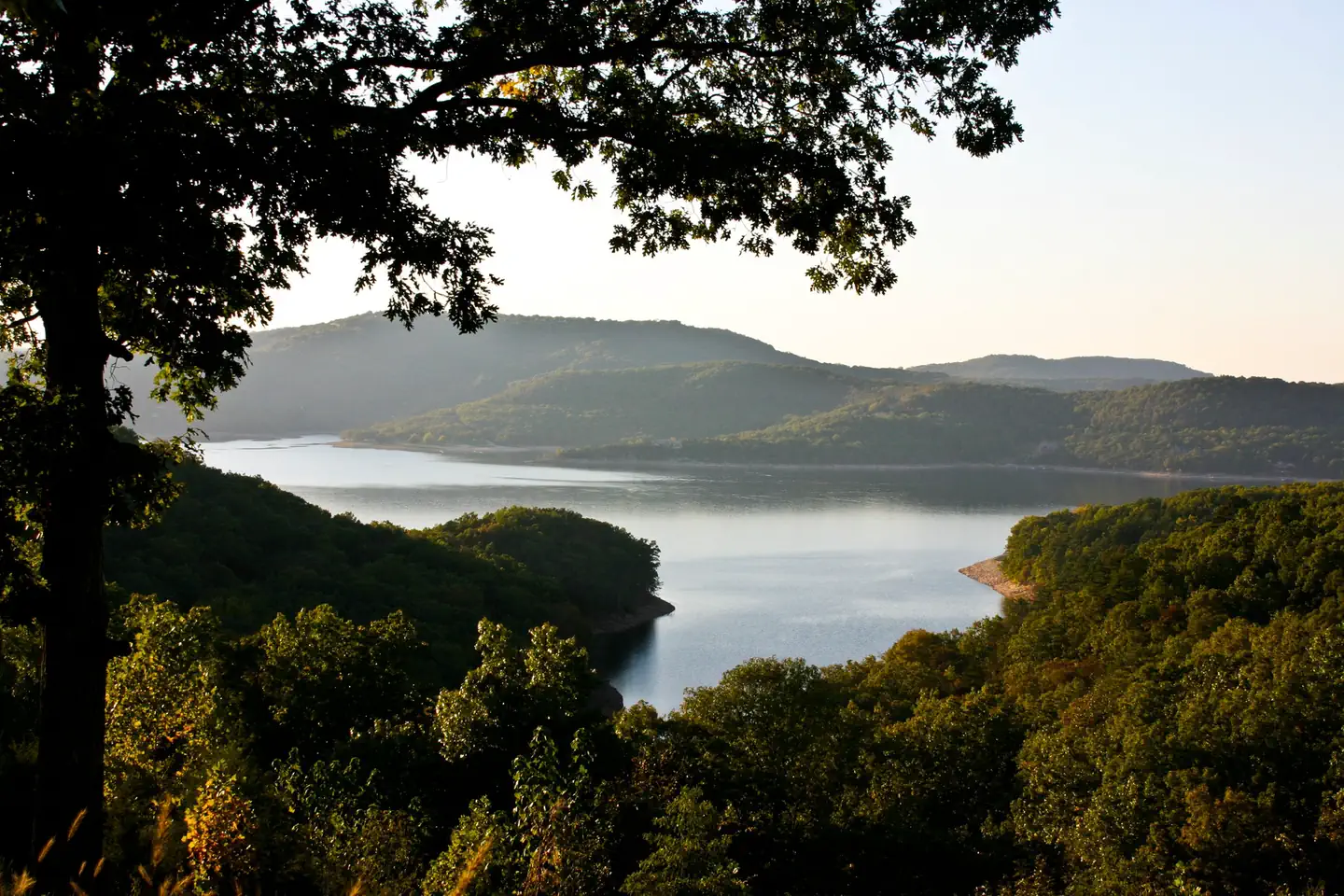 Beaver Lake seen through mature Ozark trees